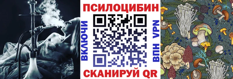 Псилоцибиновые грибы Psilocybe  Купить  Красноперекопск 